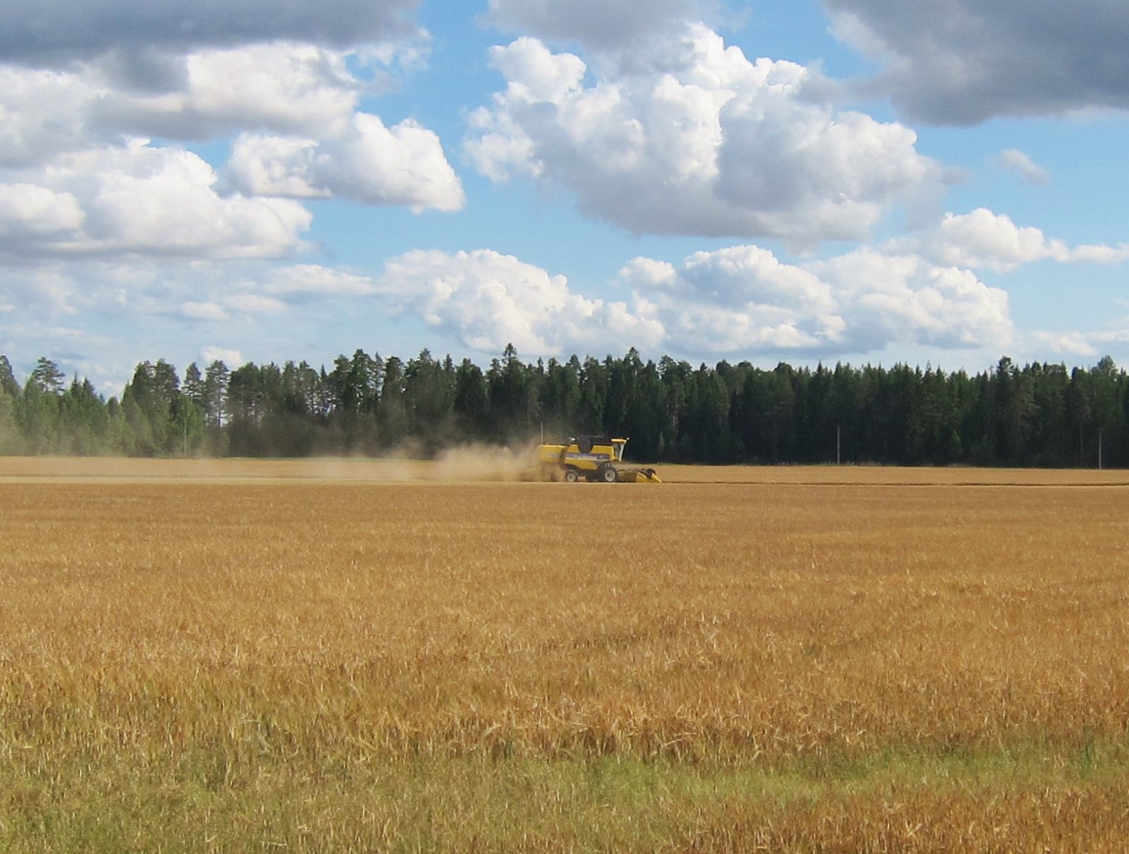 Innhøstningen i gang