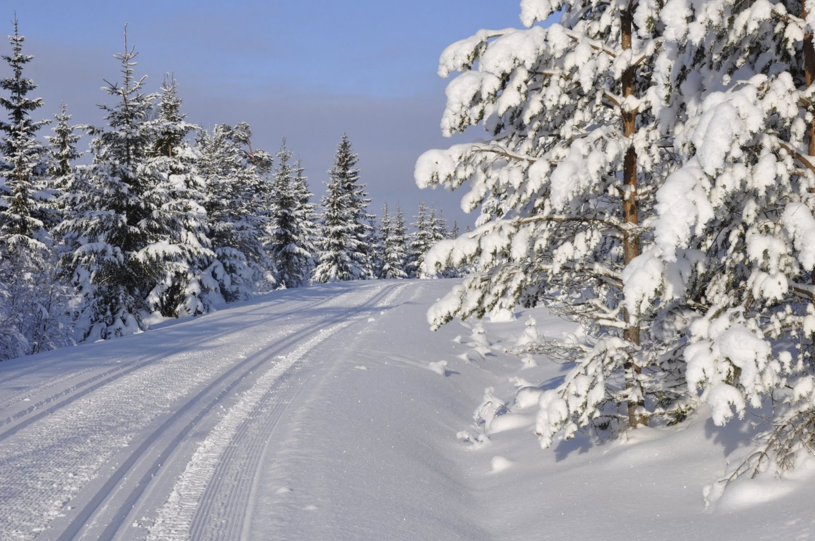 Innover mot Brøstadvangmyra