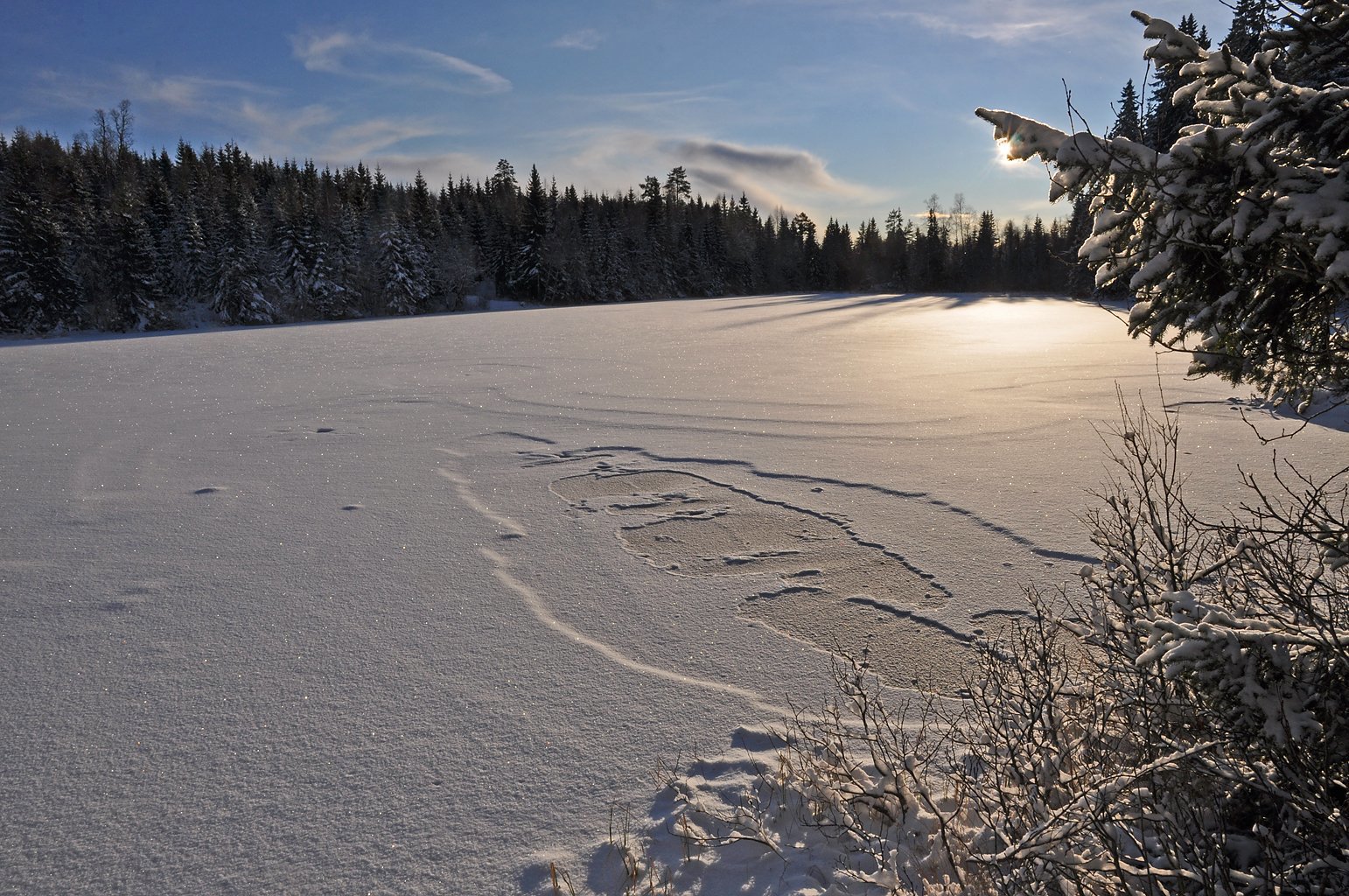 Is og snø på Damtjern