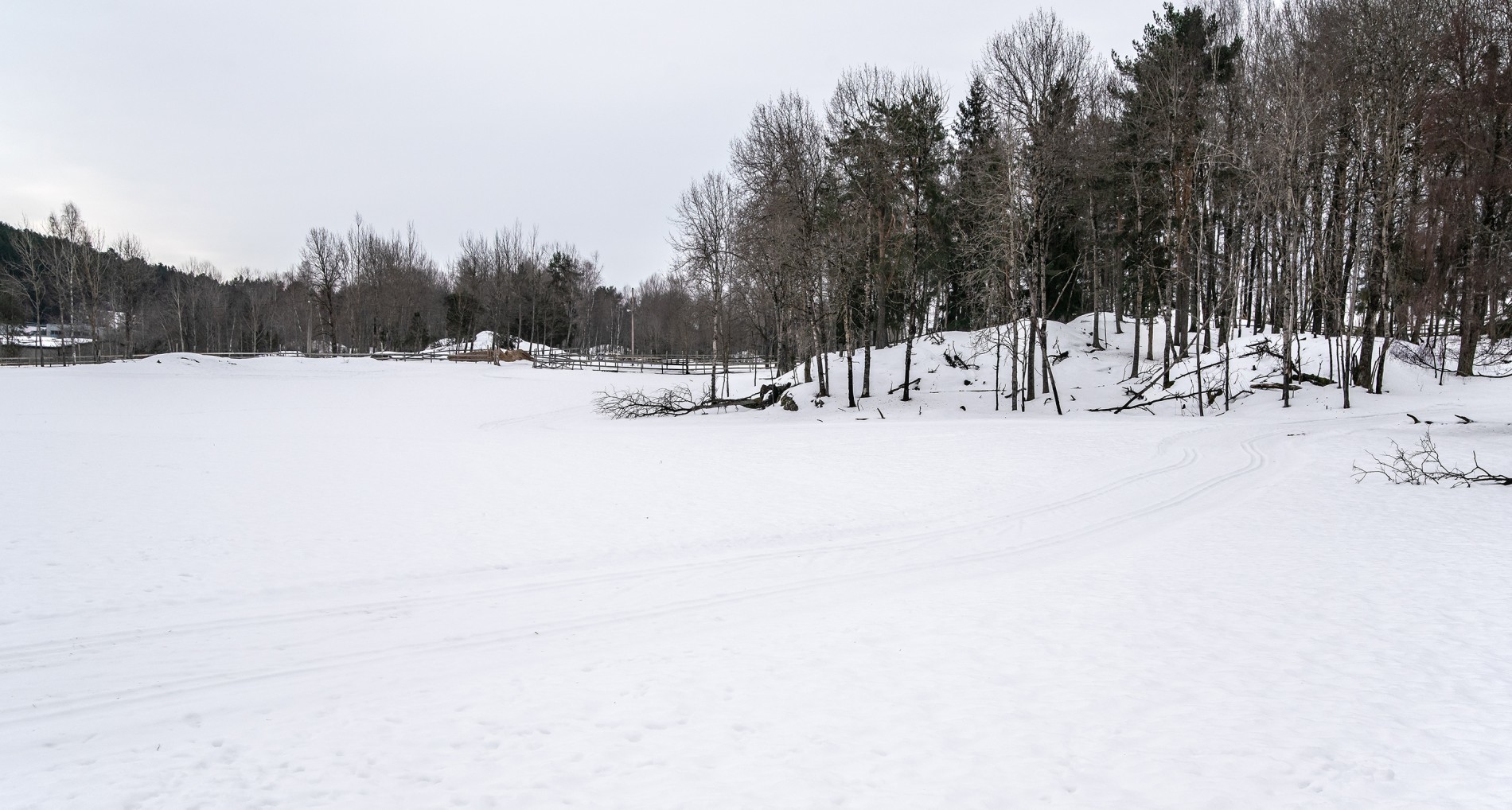 Isete og hardt i løypene ved Søndre Ås gård