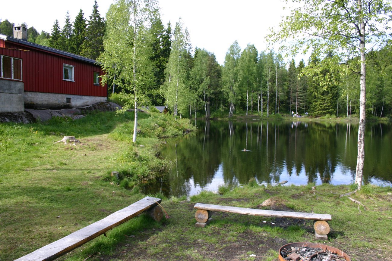 Isfritt på Isdammen