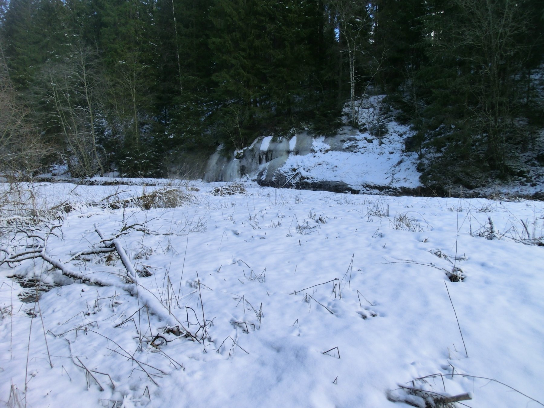 Isskulpturer ved Falltinbekken