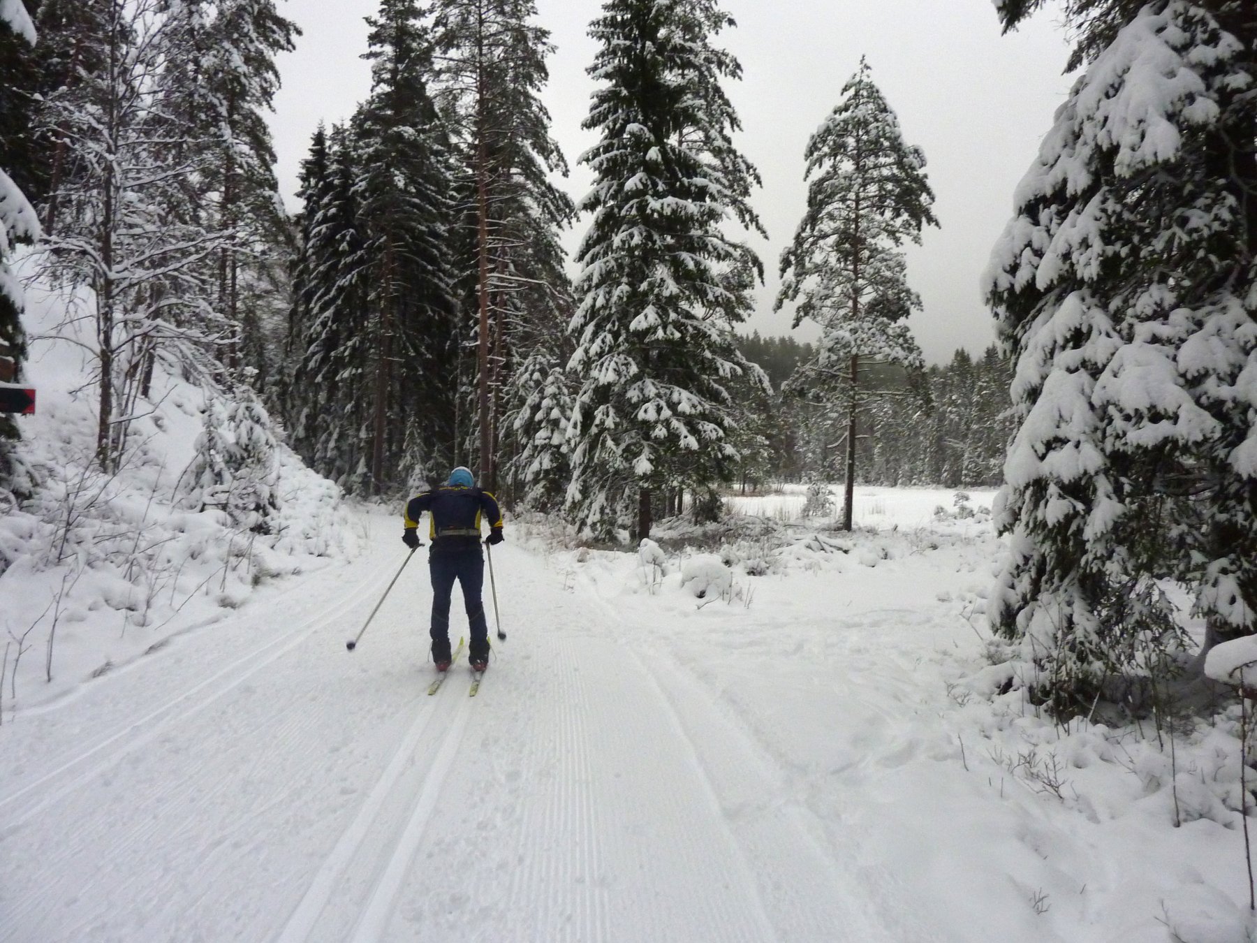 Ivrig skiløper langs Trollvann