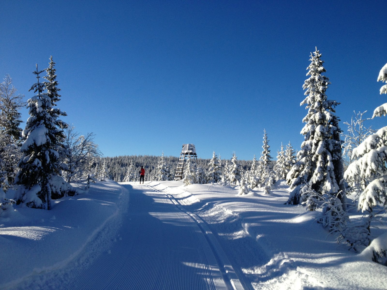 Jakttårnet ved Sjuputtane