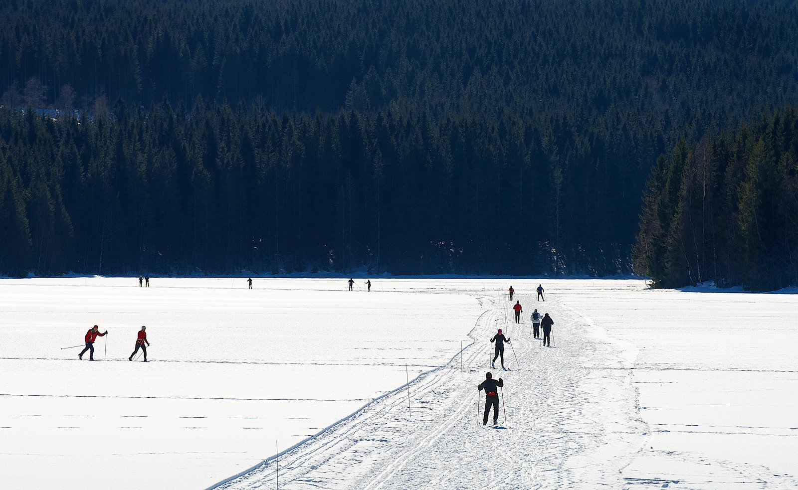Jeg gikk meg over sjø og land