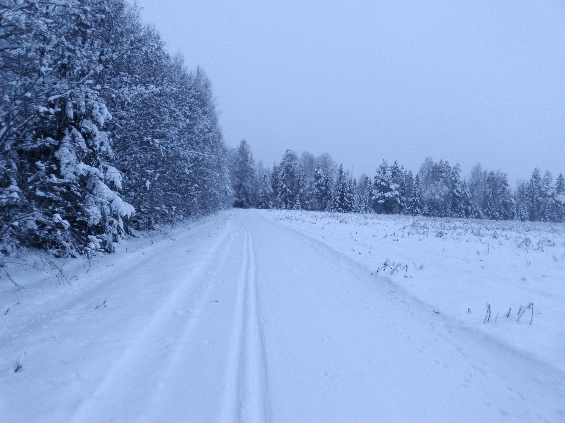 Jordene på Steinssletta mot Hvitmyr