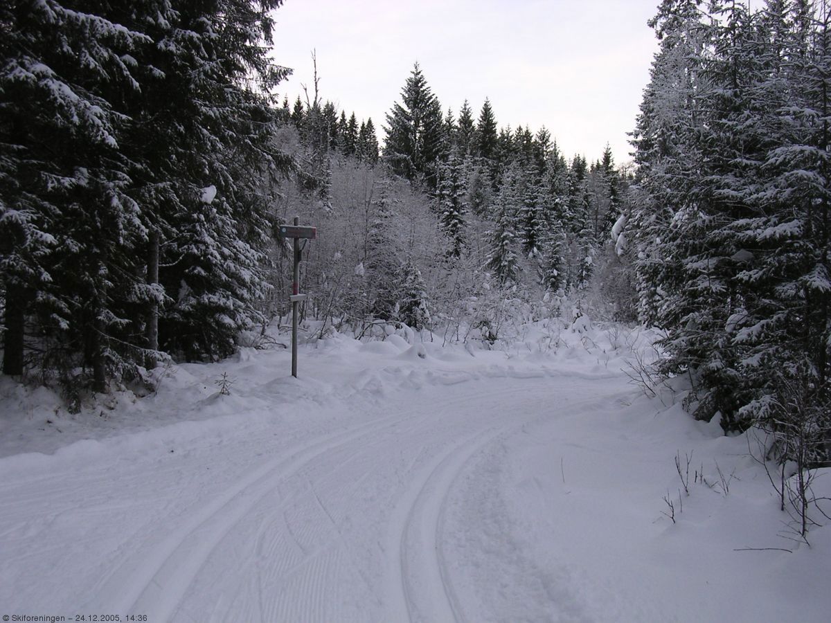 Julaften ved Rudsmyr