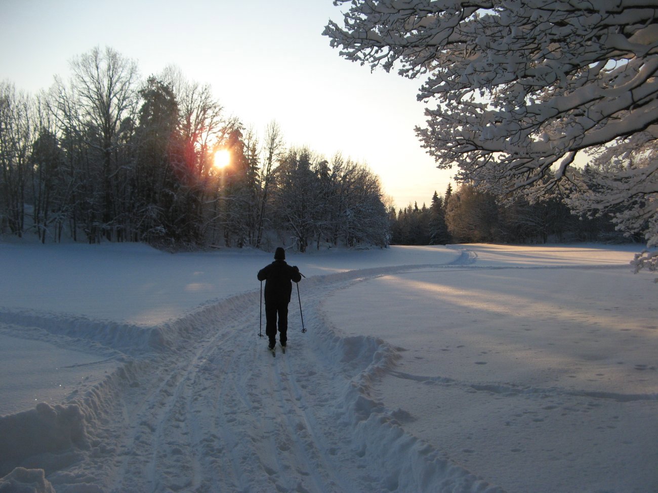 Julefred i Svartskog-løypa