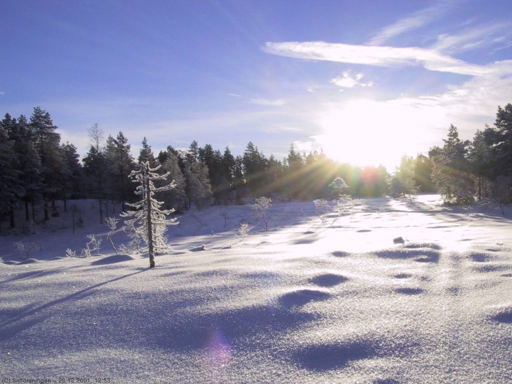 Julekort fra Glåmene - 1 av 3
