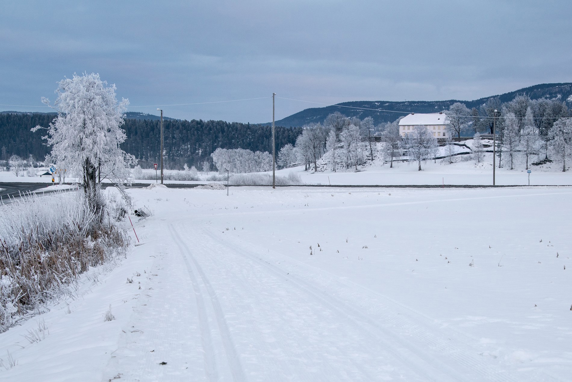 Julestemning i januar