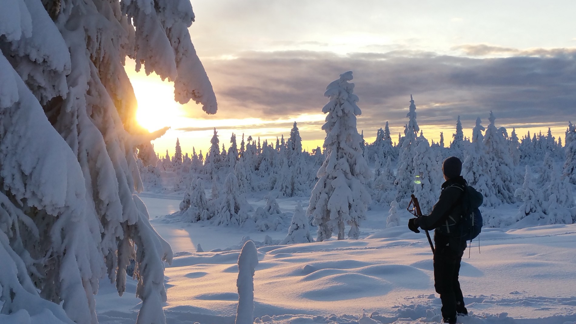 Julestemning i november