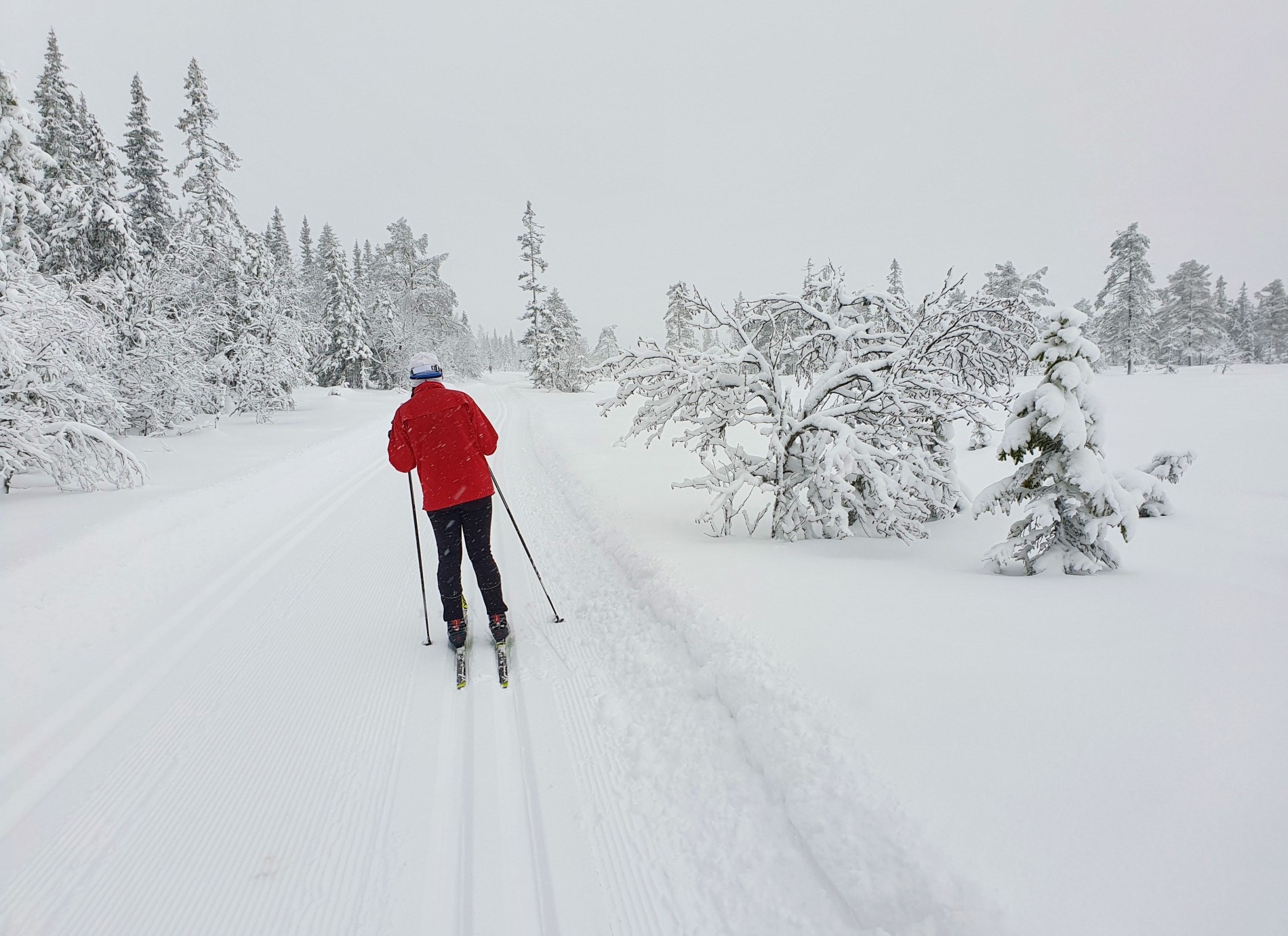 Julestemning over Grevsjømyrene