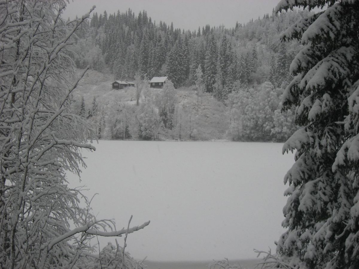 Julestemning ved Fortjernsbråtan