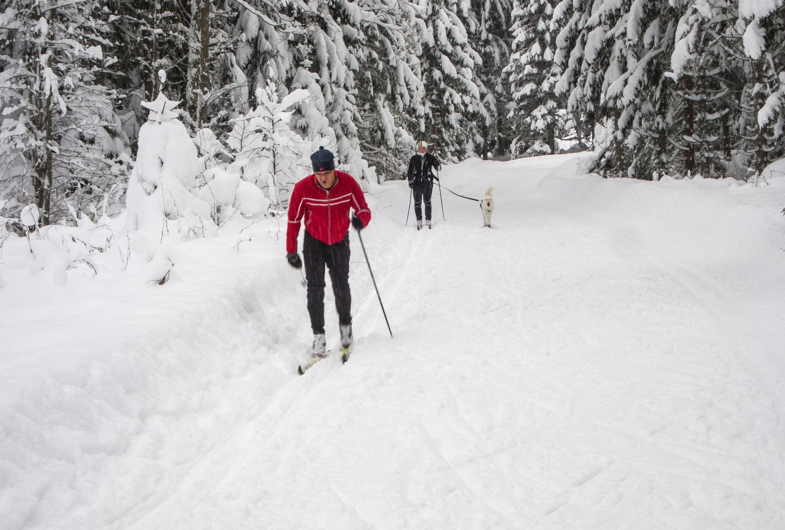Juletur i Helårsløypa