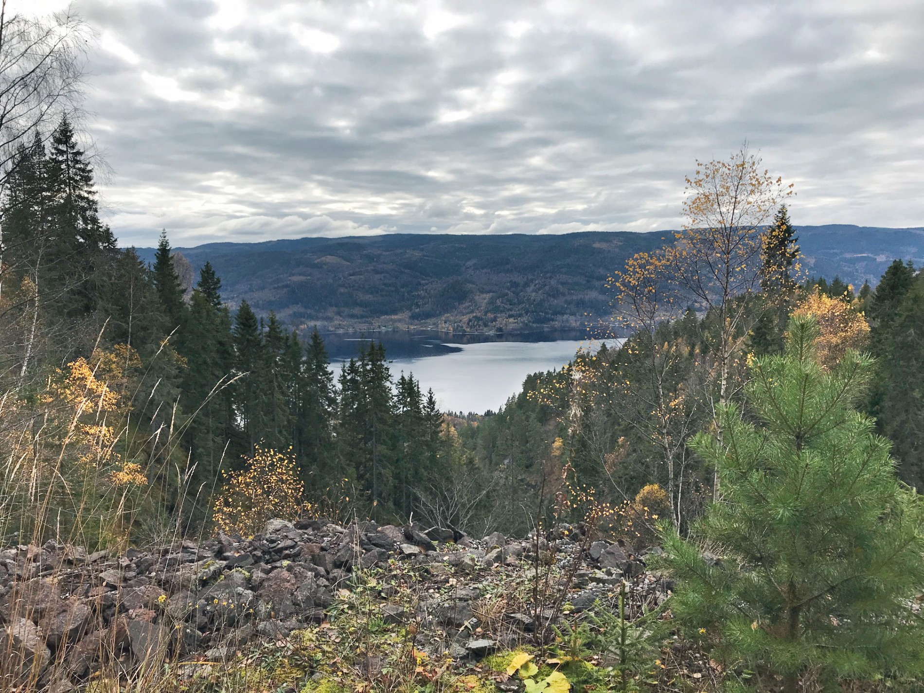 Juvet der Sønsterudelva renner ned til Tyrifjorden