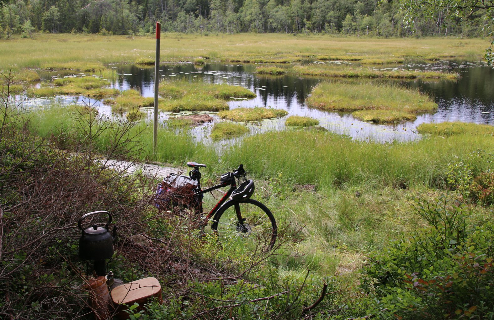 Kafferast ved Øyevann
