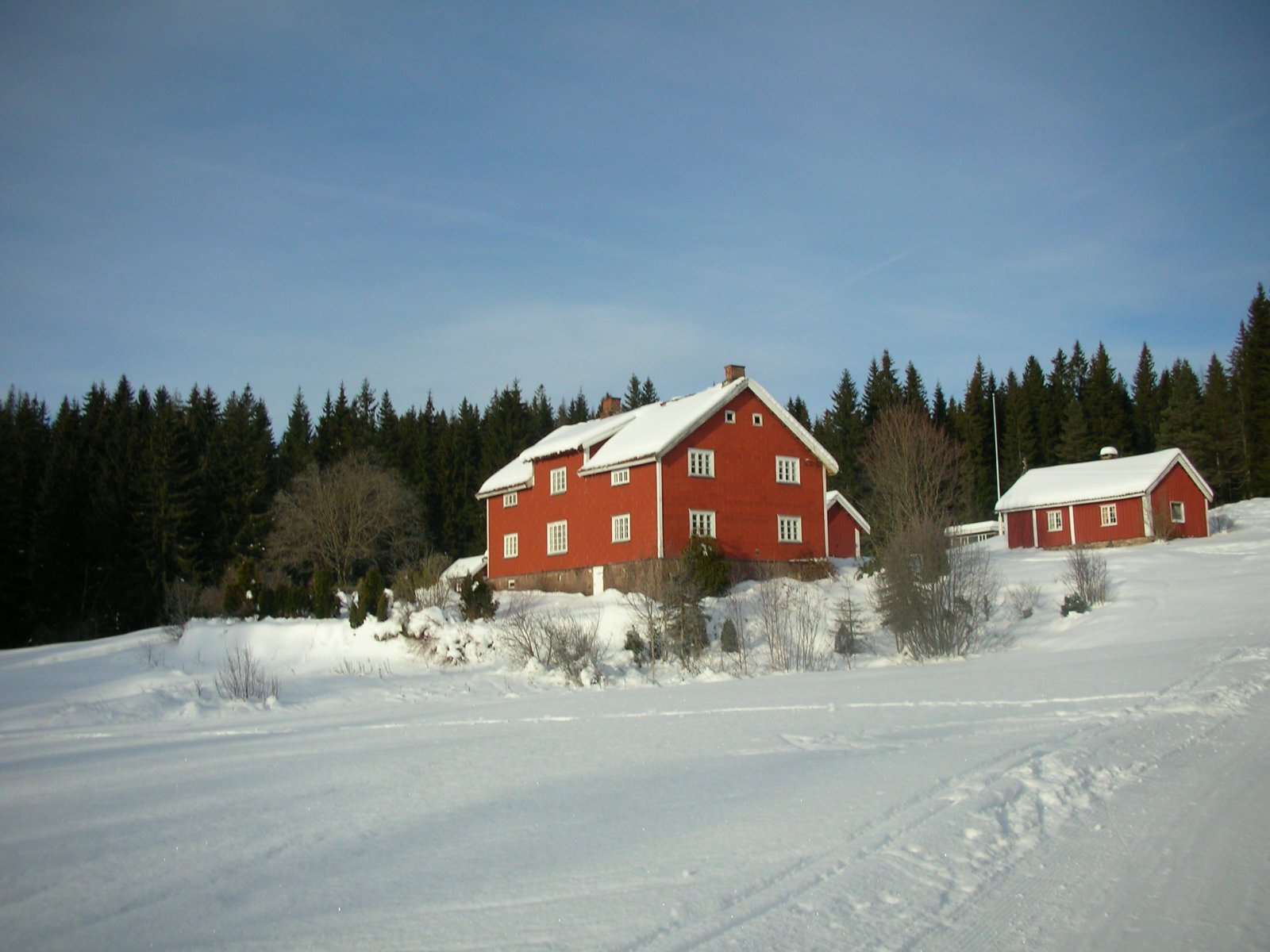 Kald januardag på Lørenseter