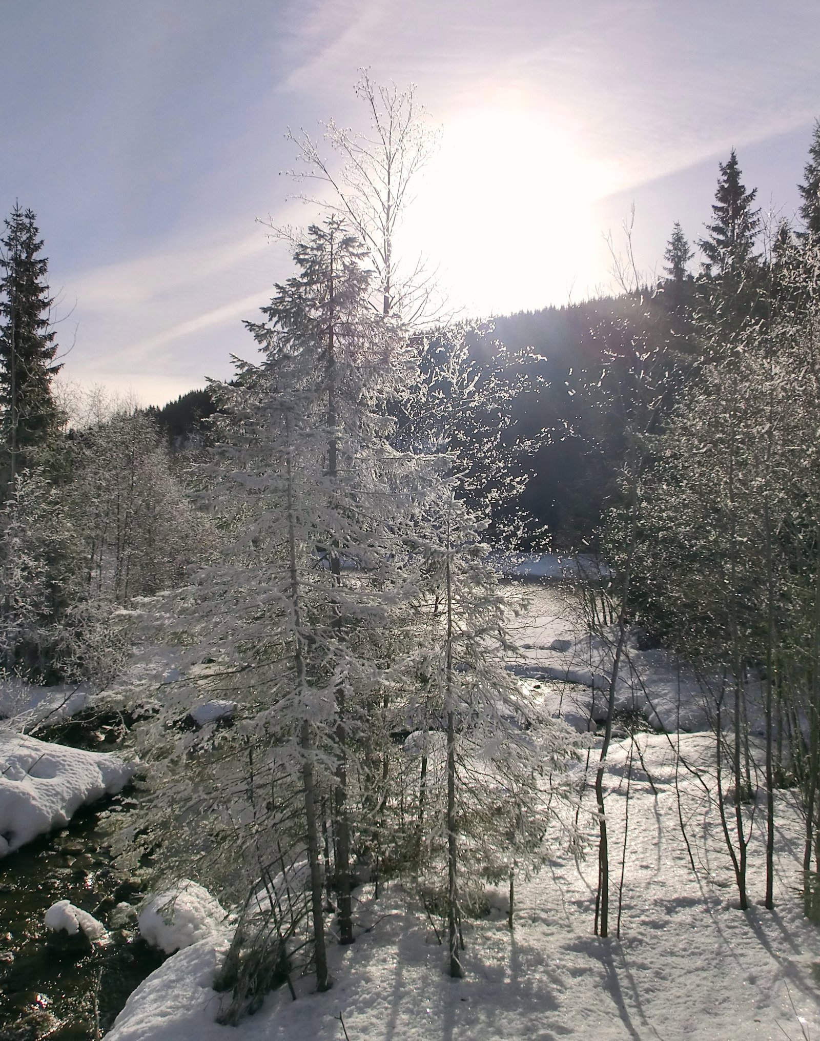 Kald morgen ved Myllselva