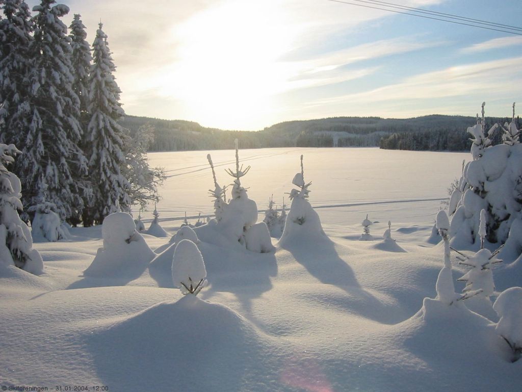 Kald sol over Sandungen