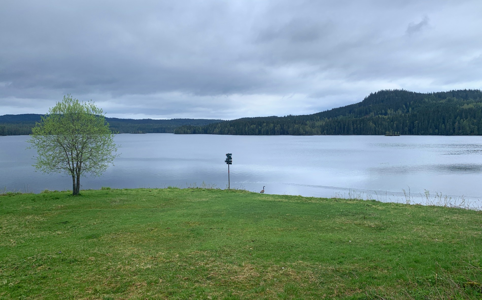 Kald vår ved Fyllingen