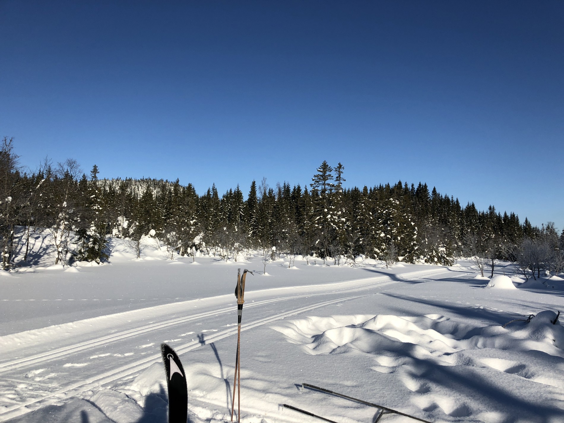 Kaldt, klarvær og litt nysnø i løpet av natta