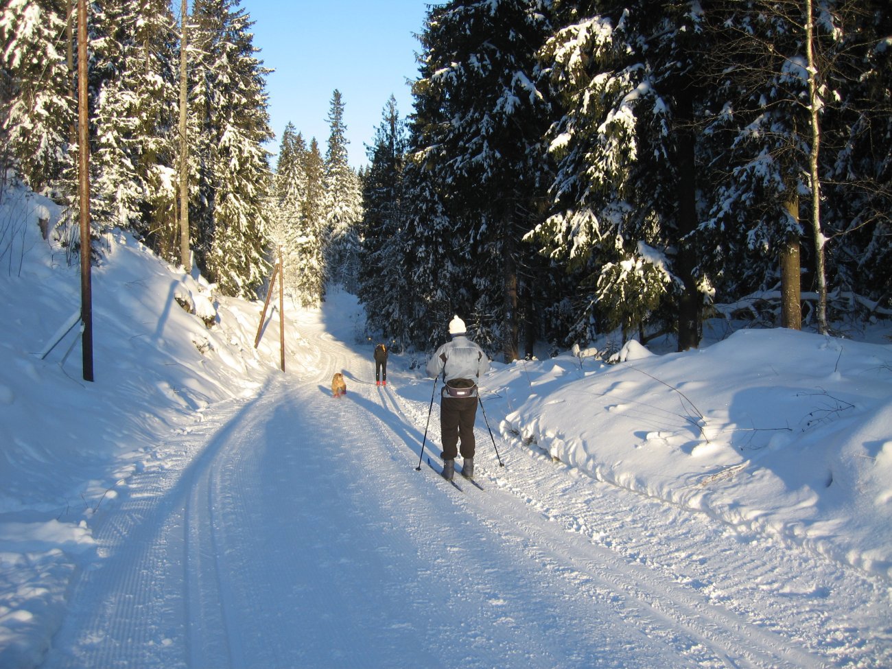 Kaldt, men fine forhold i Lillomarka