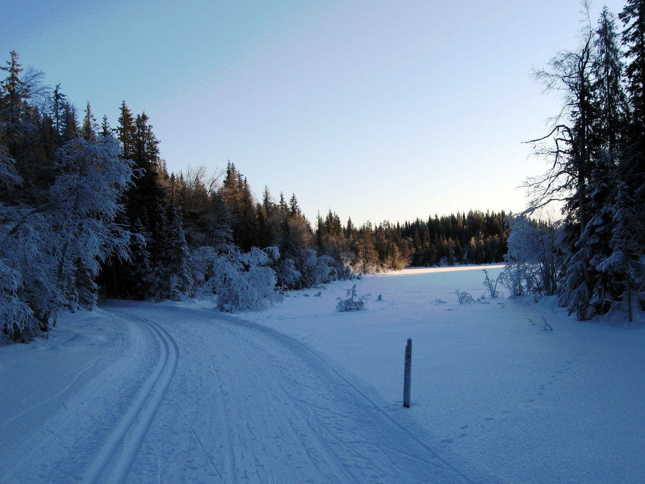 Kaldt ved Tørkerudtjern