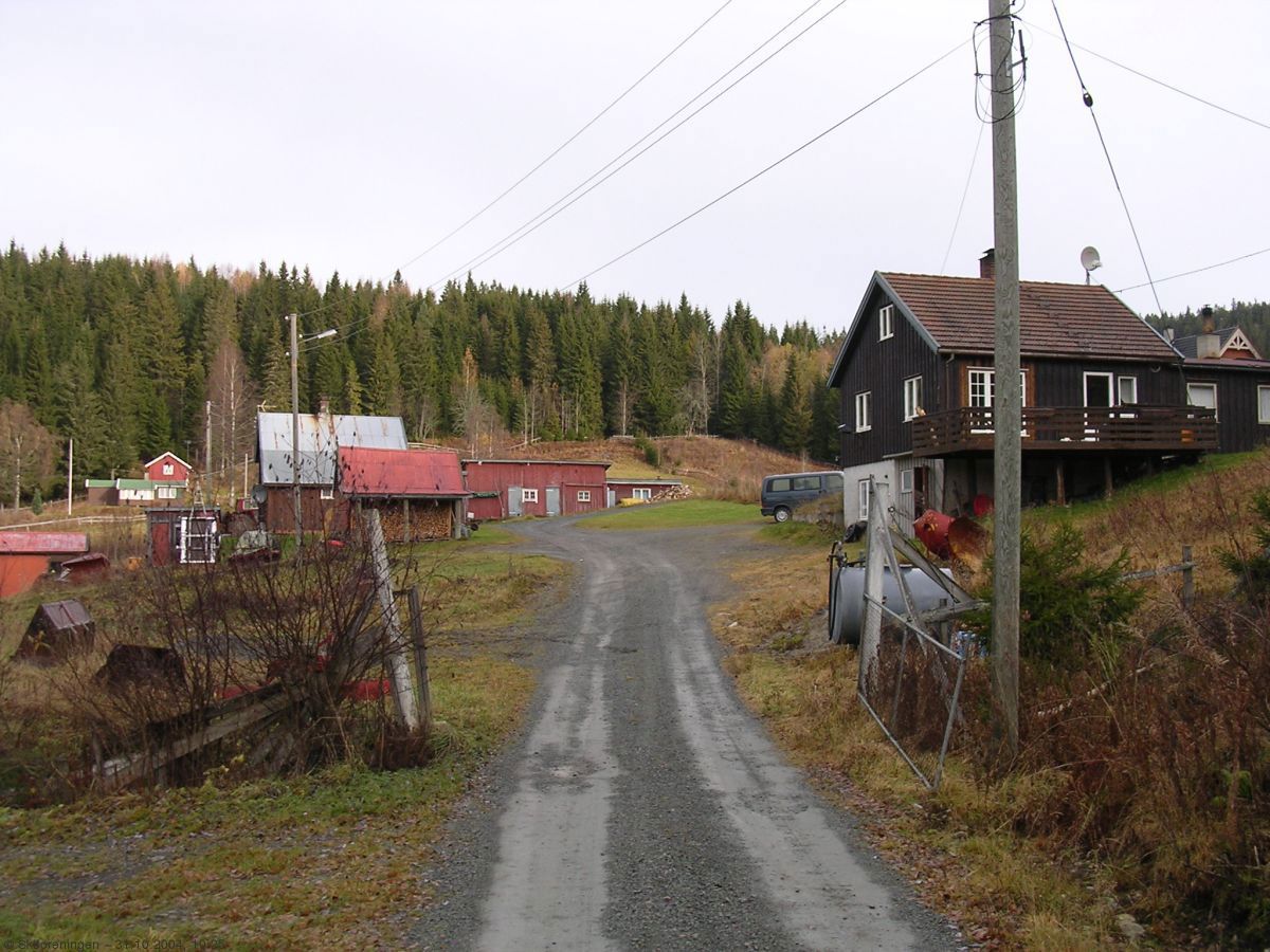 Kampeseter på Krokskogen