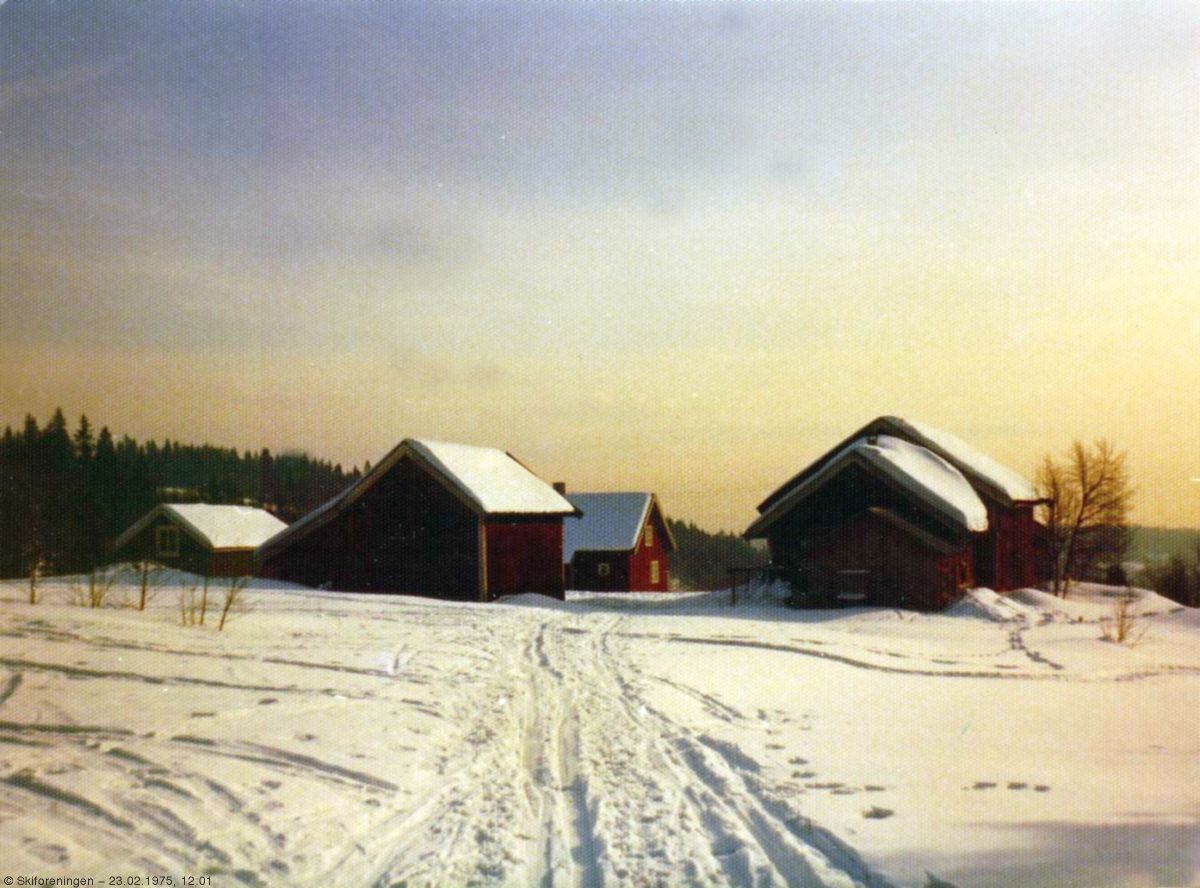 Kamphaug midtvinters