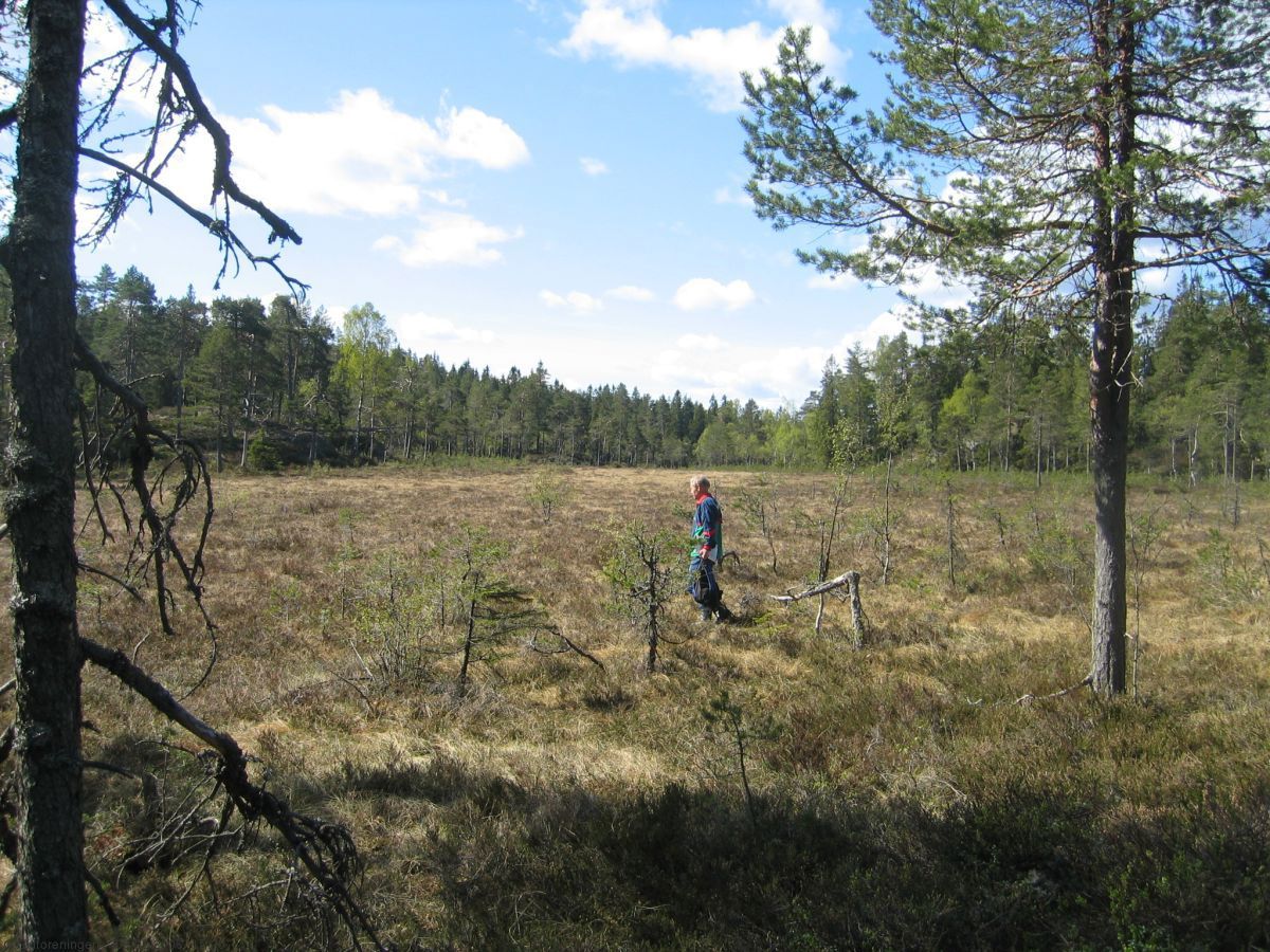 Kåterudmåsan - gammel slipplass