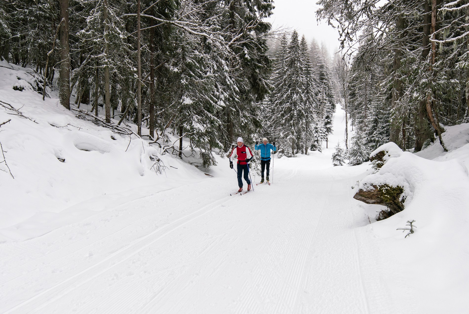 Kjempefint øst for Damvann