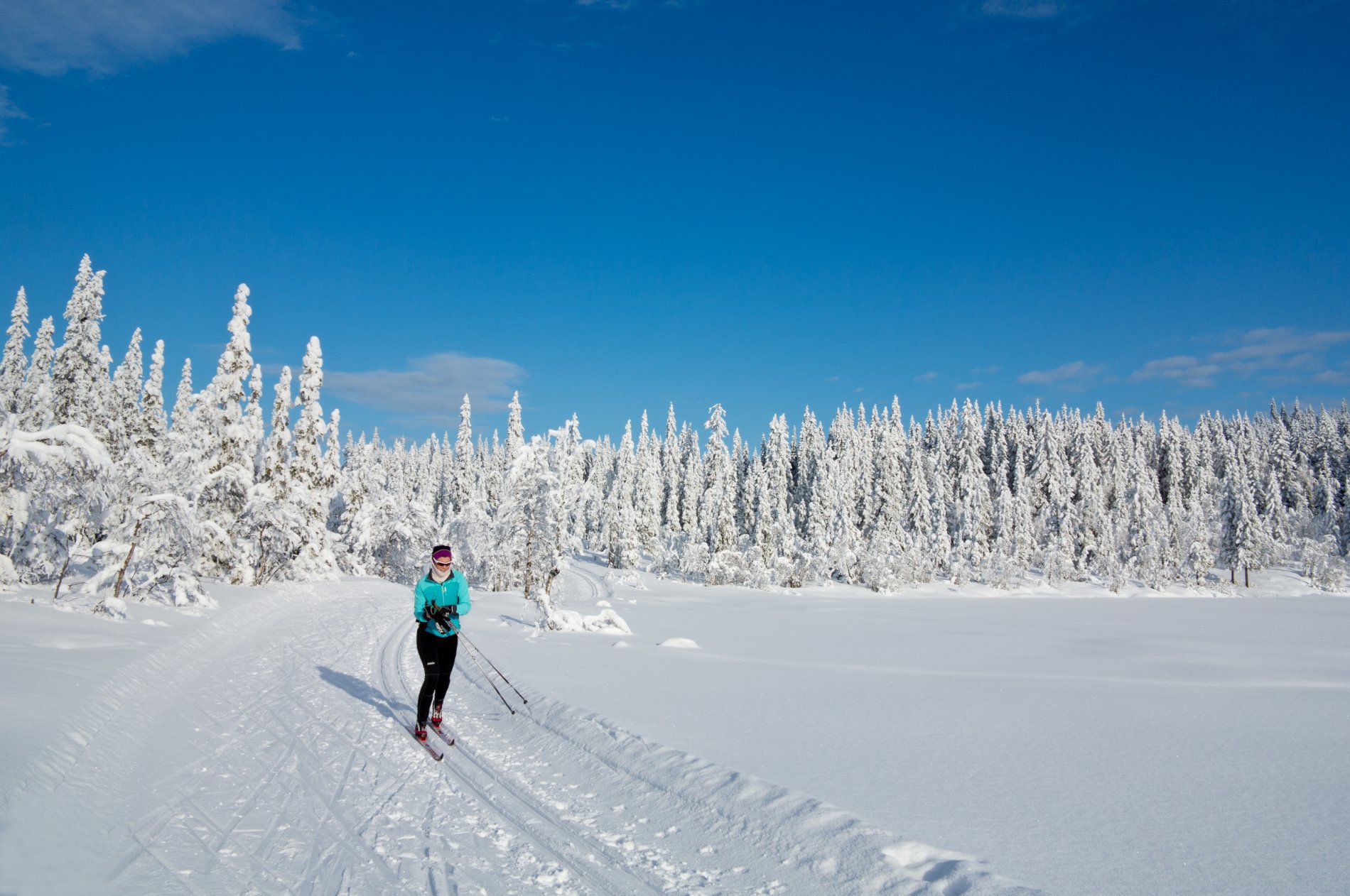 Kjempehelg i Gjøvikmarka