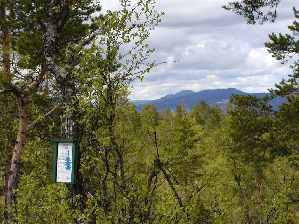 Kjentmannsposten på Svaraberget