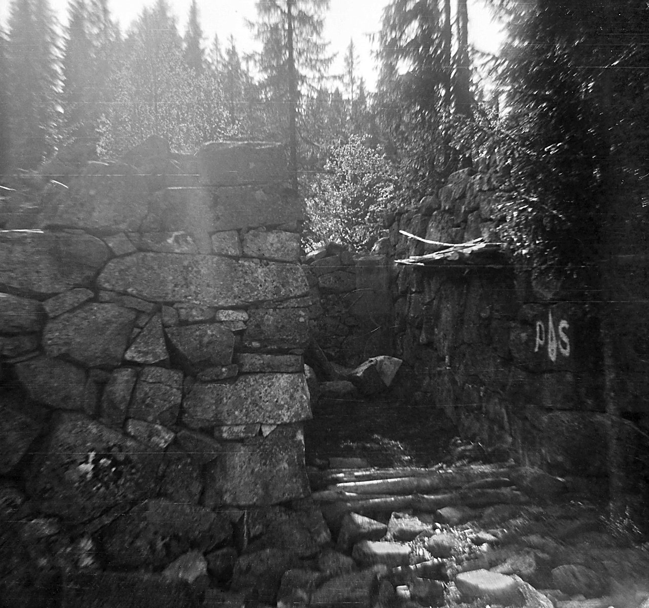 Kjerraten i Åsa 1960: fundamentet til Tolverhjulet