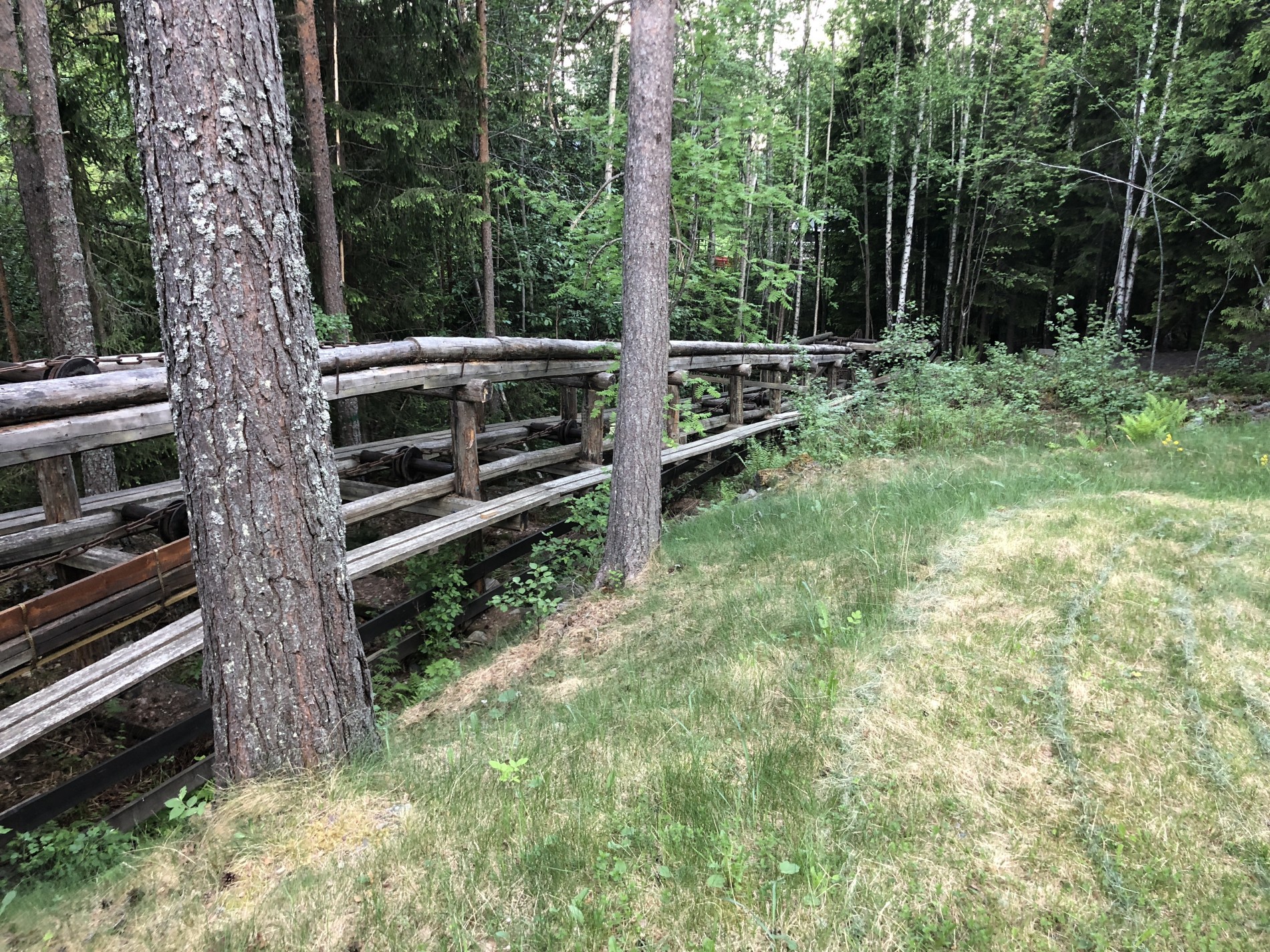 Kjerraten ved hjulhus nr. 5