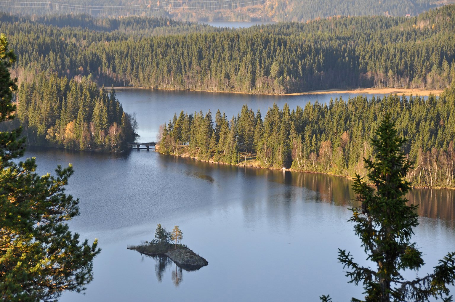 Kjerringkollen – utsyn mot nord