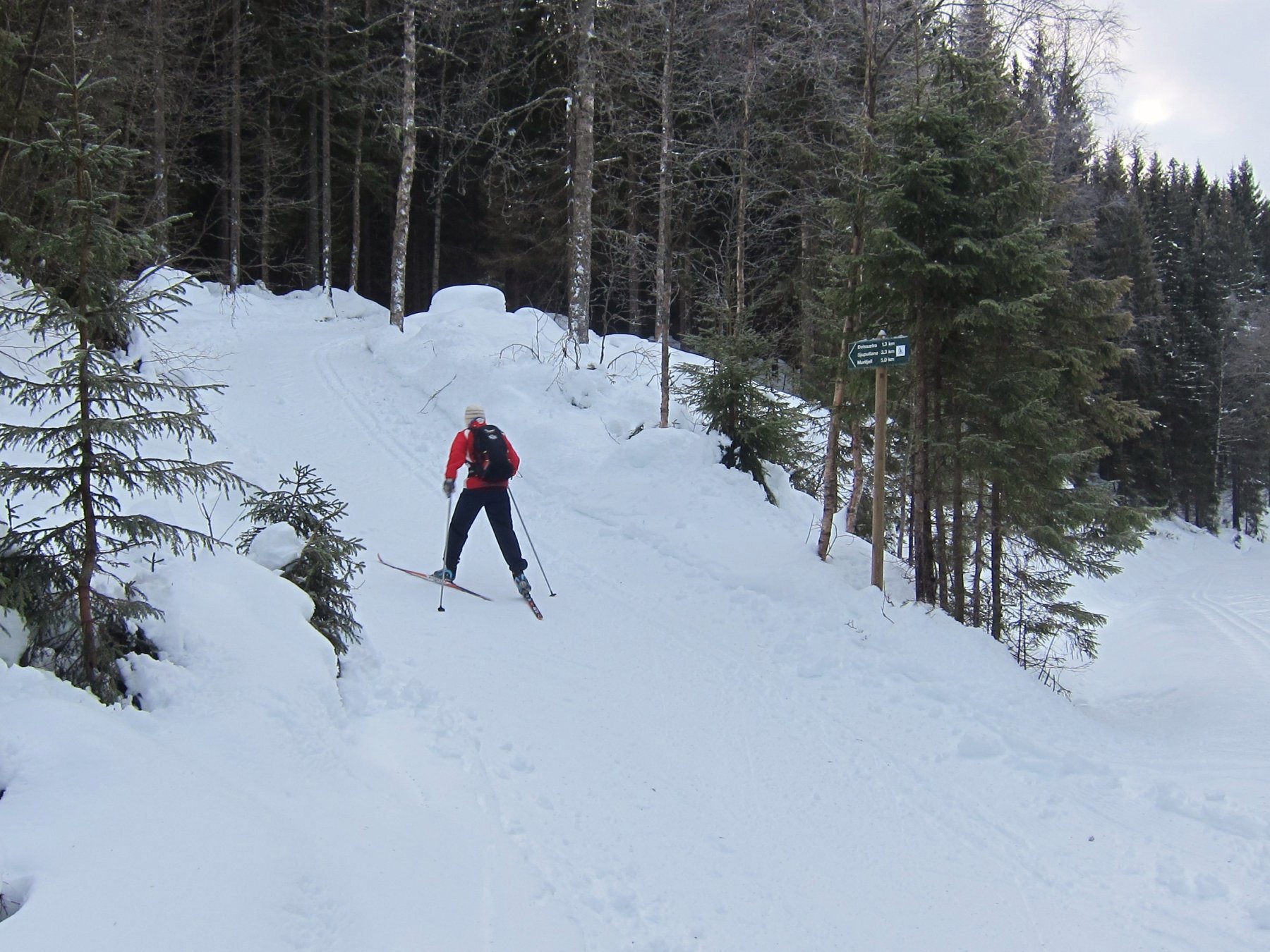 Klar for Dalsæterlia