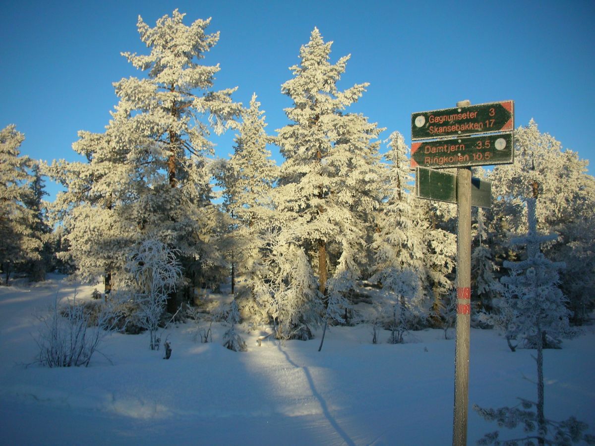 Klar frostdag på Stubdalsflaka