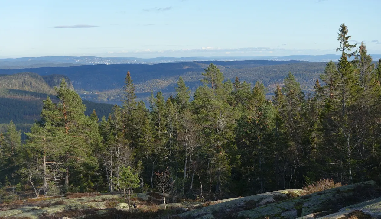 Klar høstdag i Finnemarka Klar høstdag i Finnemarka