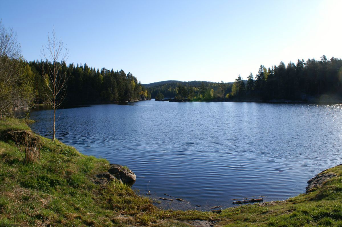 Klar morgen ved Tangetjernet