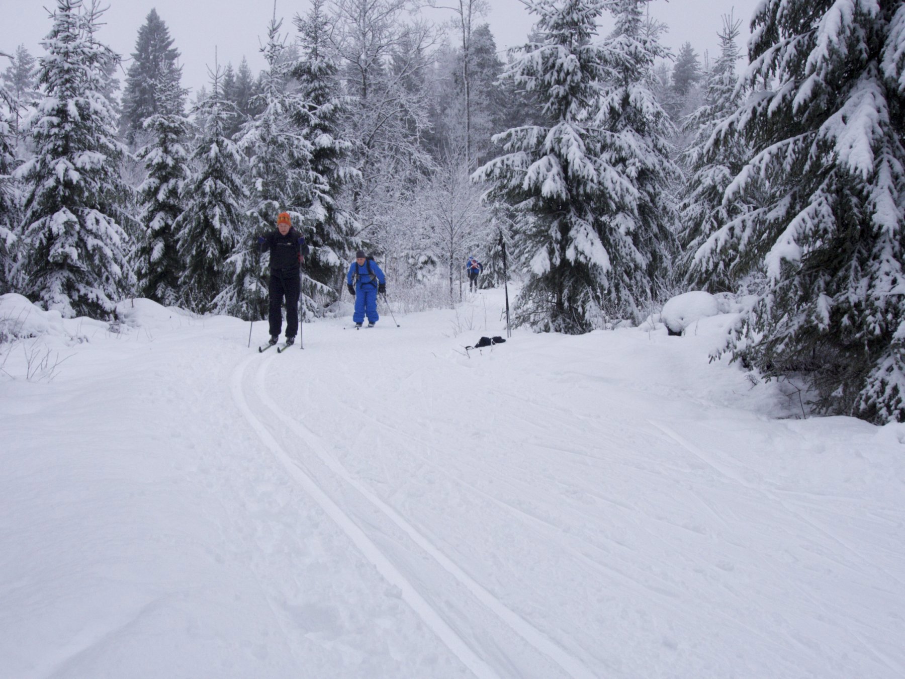 Klassisk vinterscene