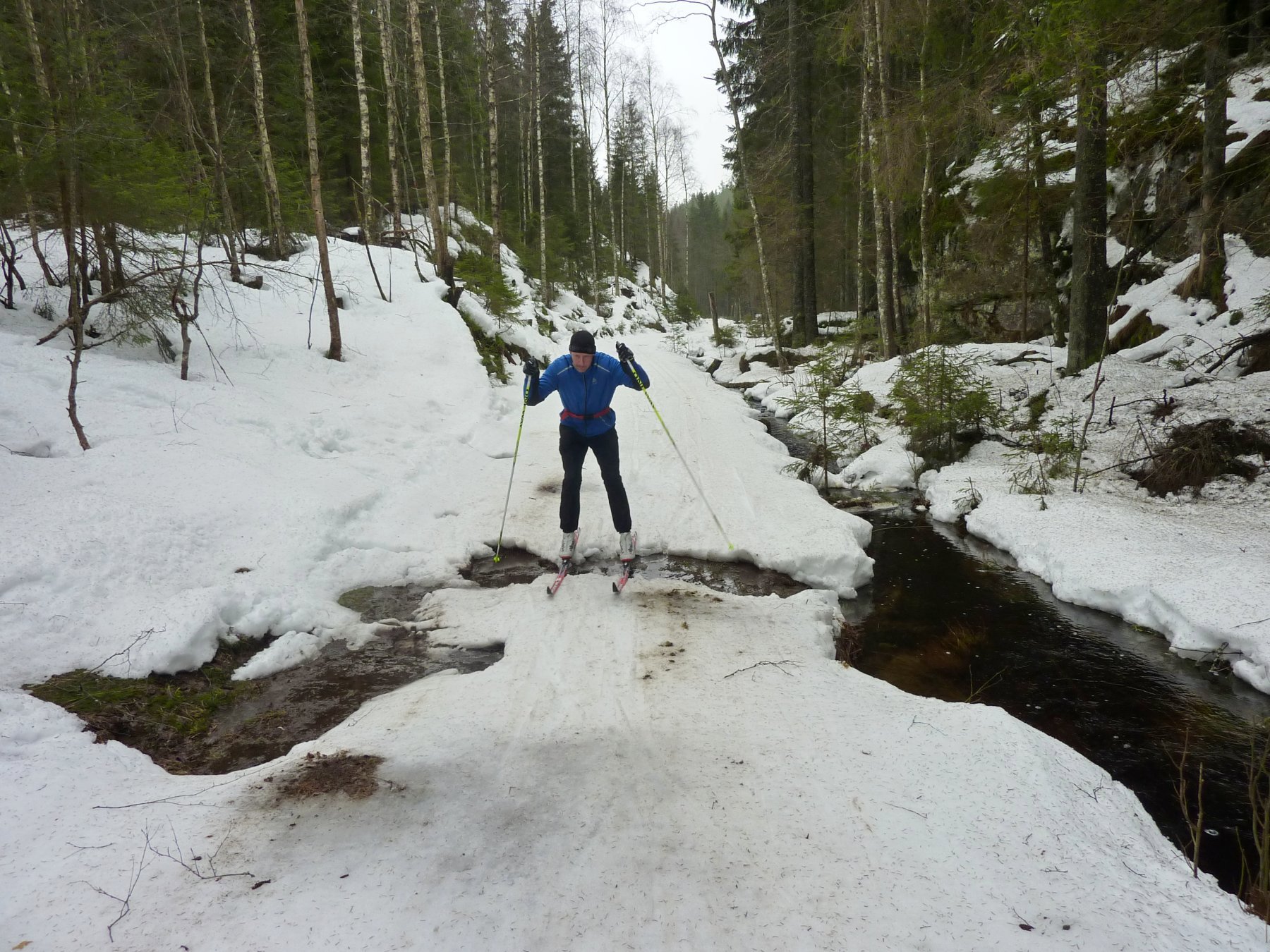 Klokkerudmyrene for de ivrigste