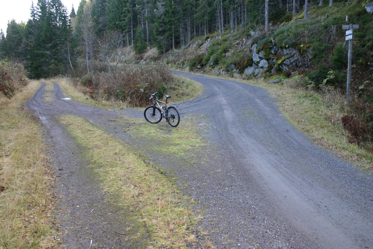Knutepunkt i Almedalen