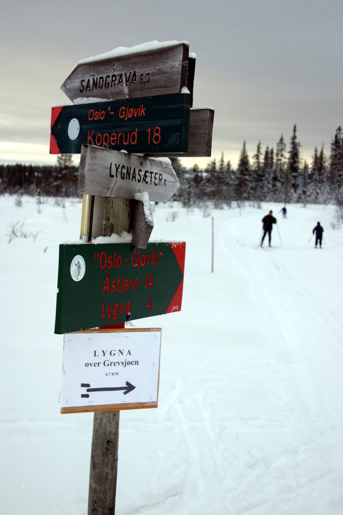 Knutepunkt ved Lushaughytta