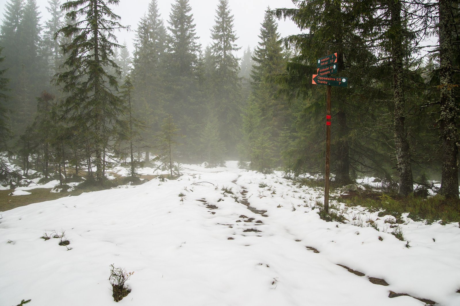 Kong Vinter på tilbaketog