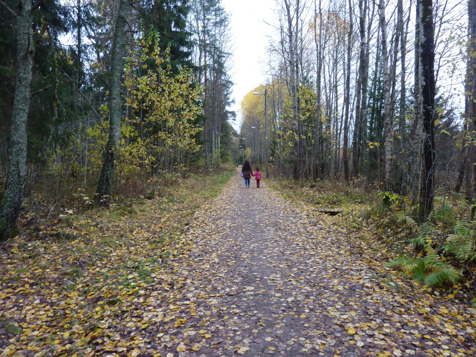 Kongeveien i Prinsdal