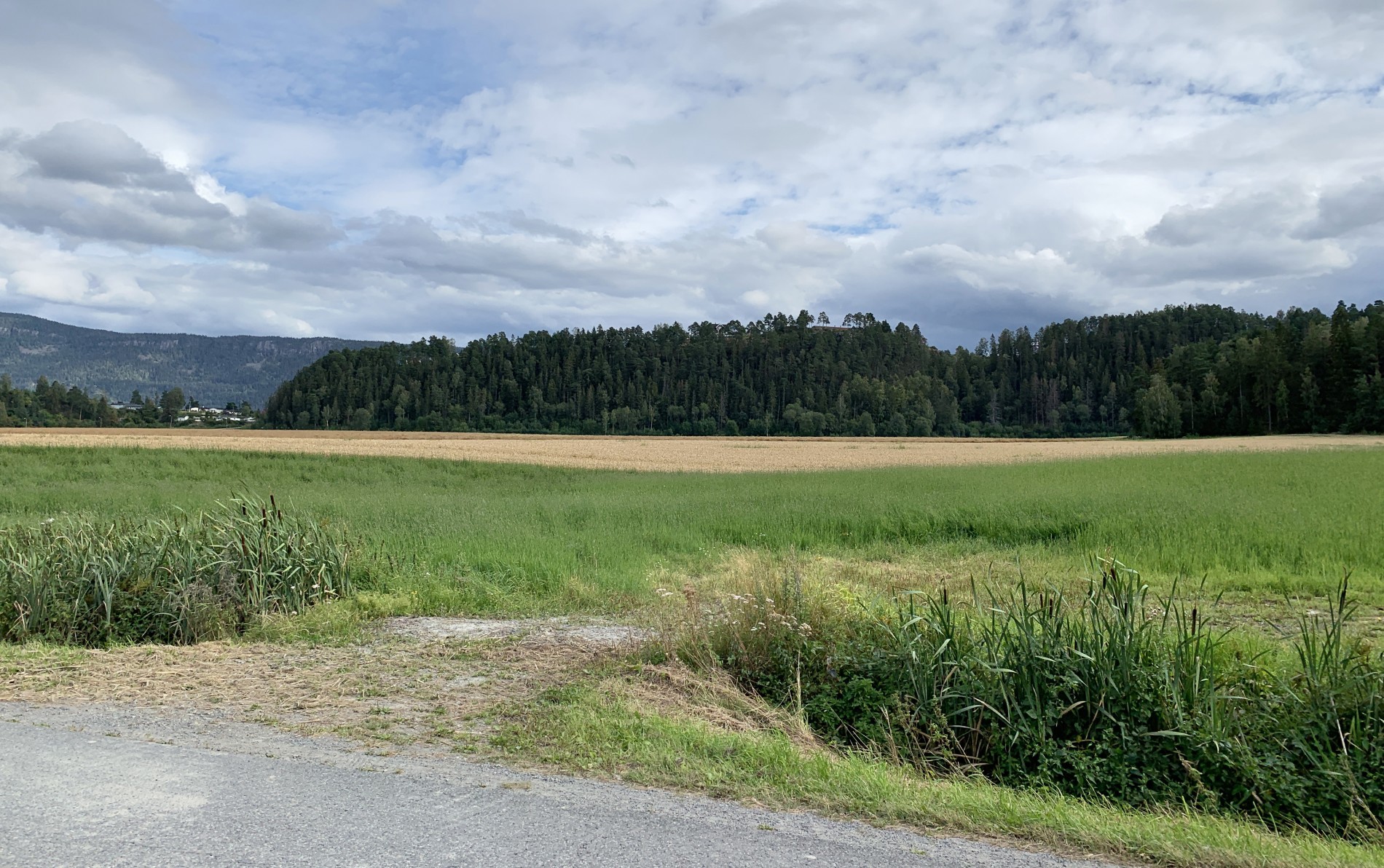 Kongoløypa sett fra Selteveien