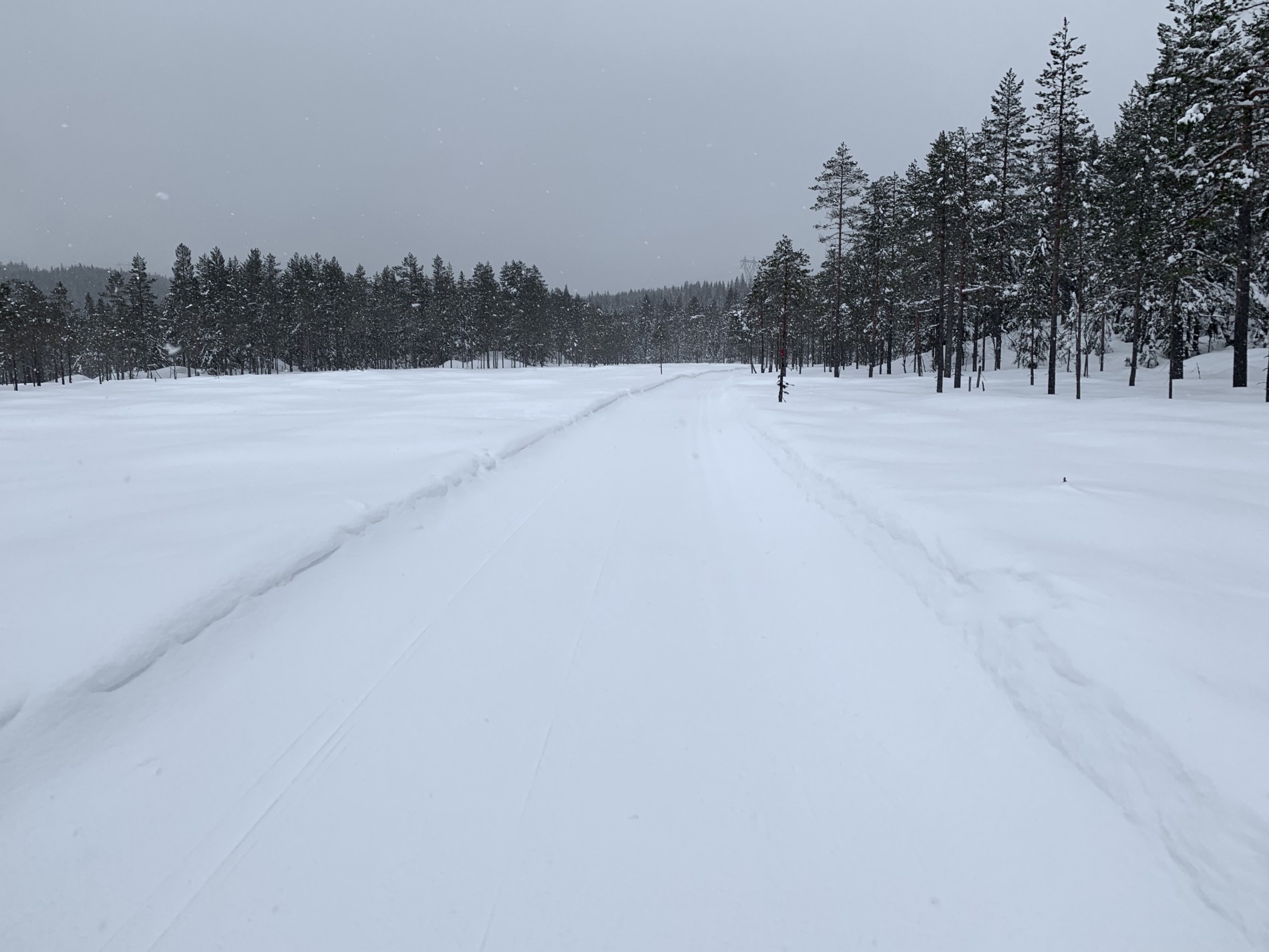 Kongsskogmyra i snøvær