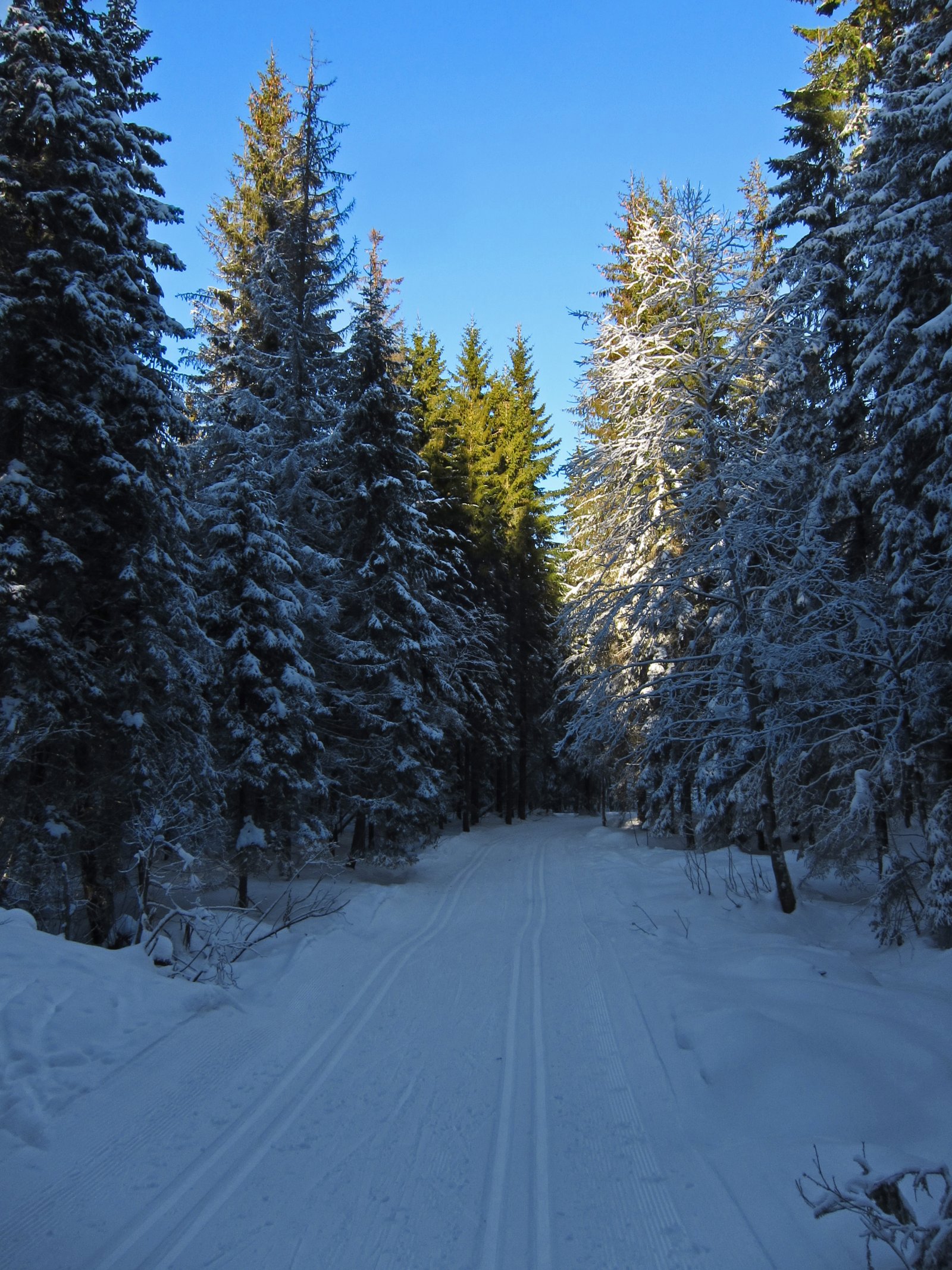 Kontraster mellom sol og skygge