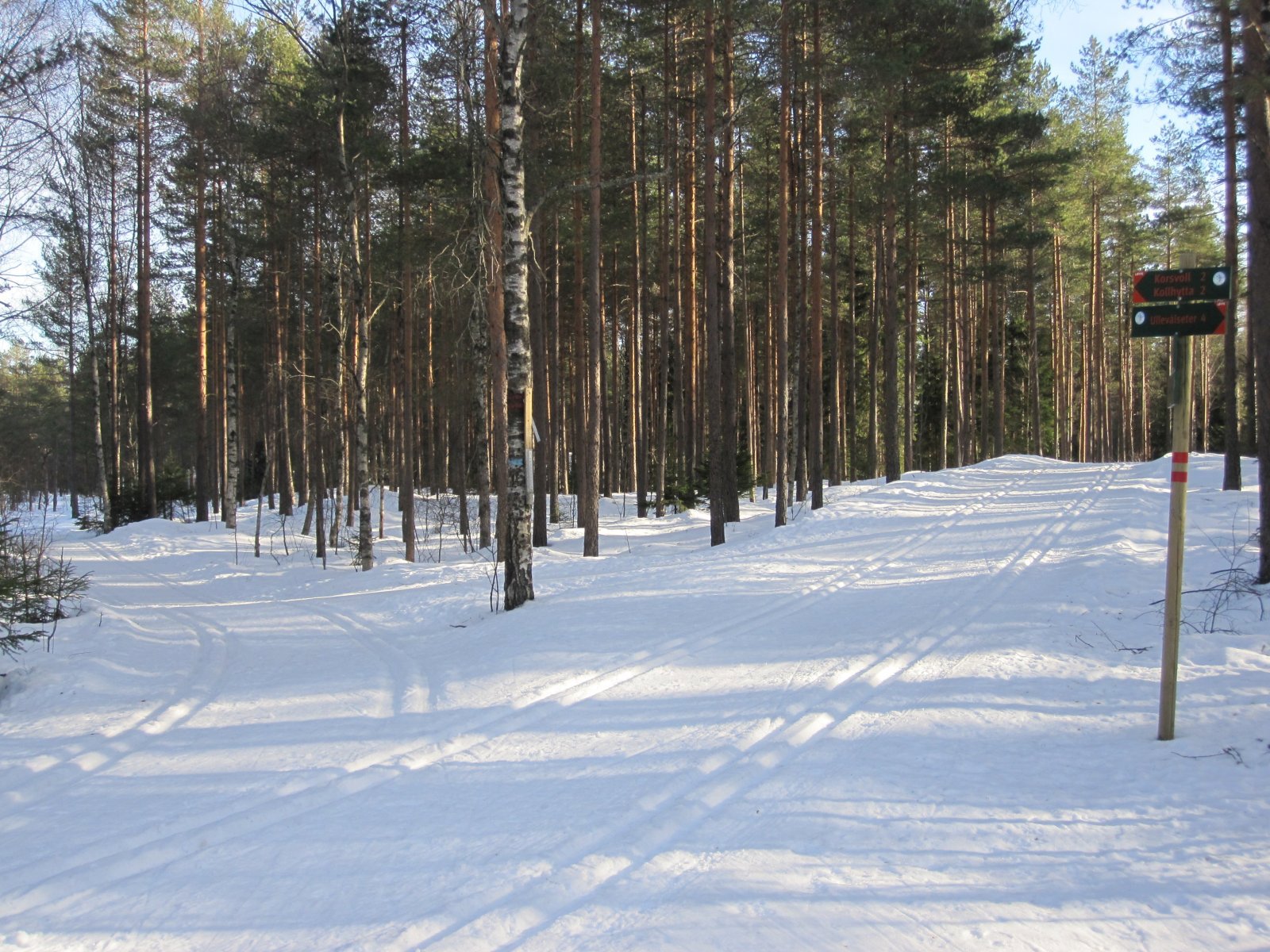 Korsvoll eller Sognsvann?